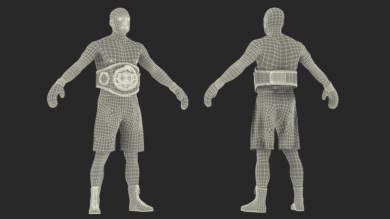 3D IBF Boxing Champion Rigged