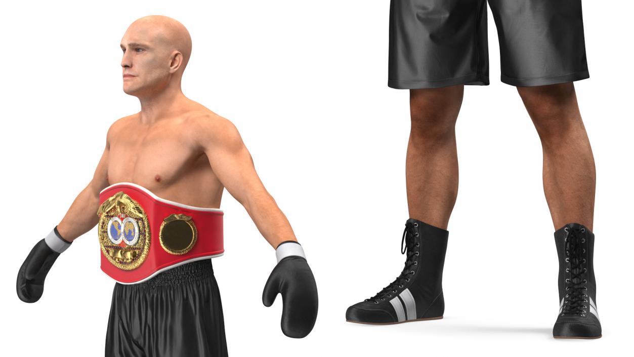 3D IBF Boxing Champion Rigged