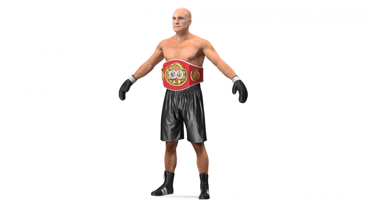 3D IBF Boxing Champion Rigged