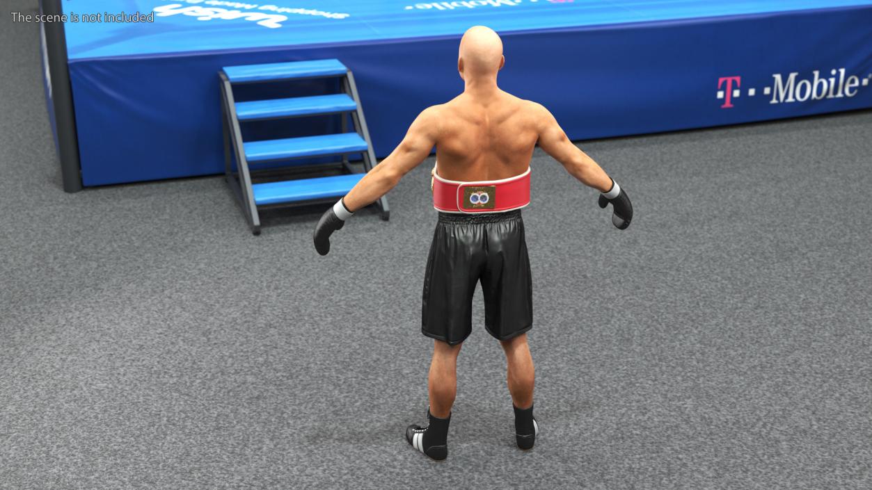 3D IBF Boxing Champion Rigged