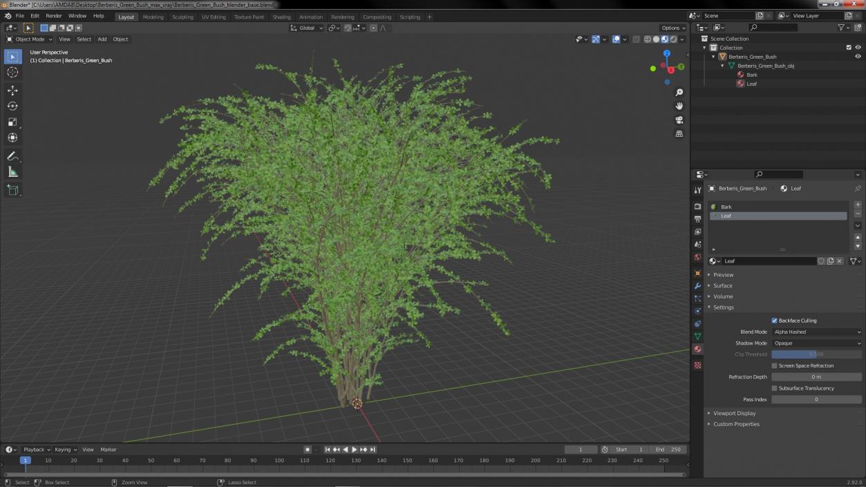 Berberis Green Bush 3D model