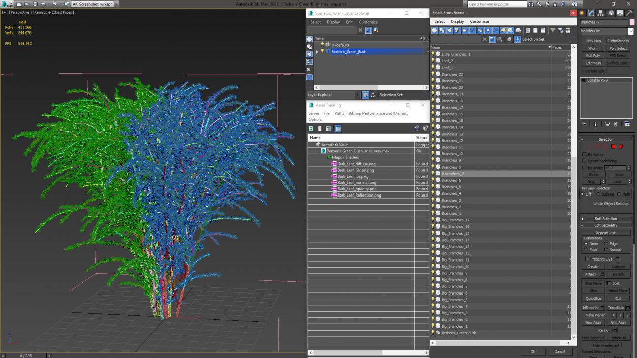 Berberis Green Bush 3D model