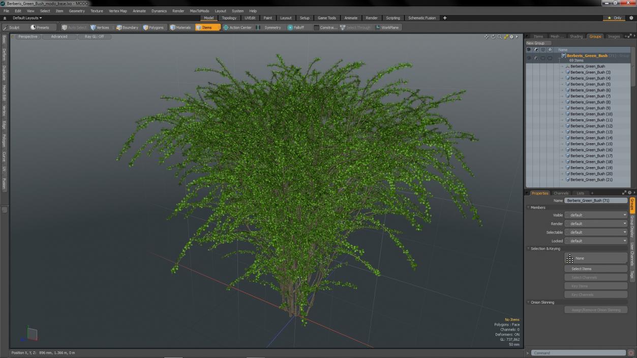 Berberis Green Bush 3D model