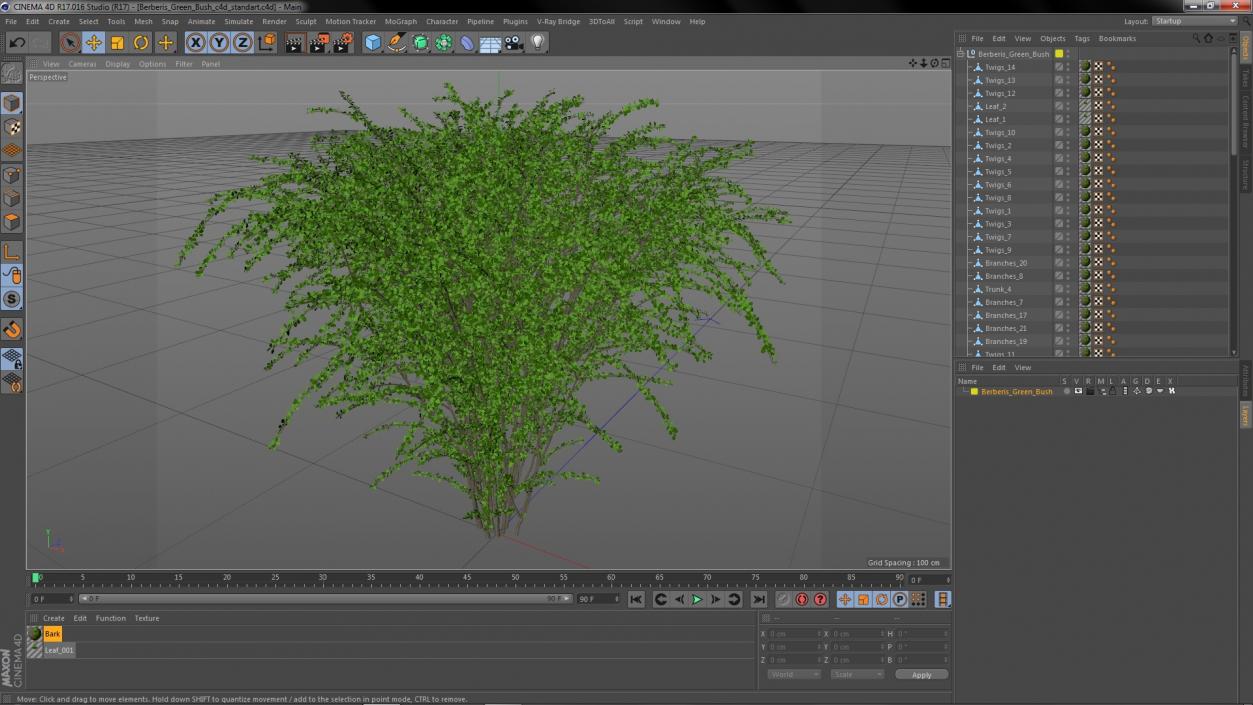 Berberis Green Bush 3D model