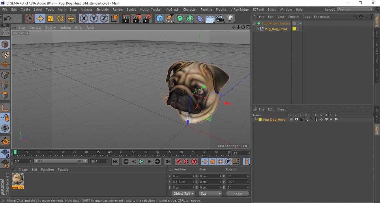 Pug Dog Head 3D