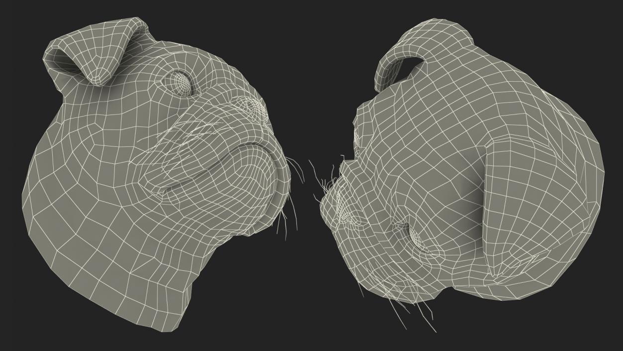 Pug Dog Head 3D