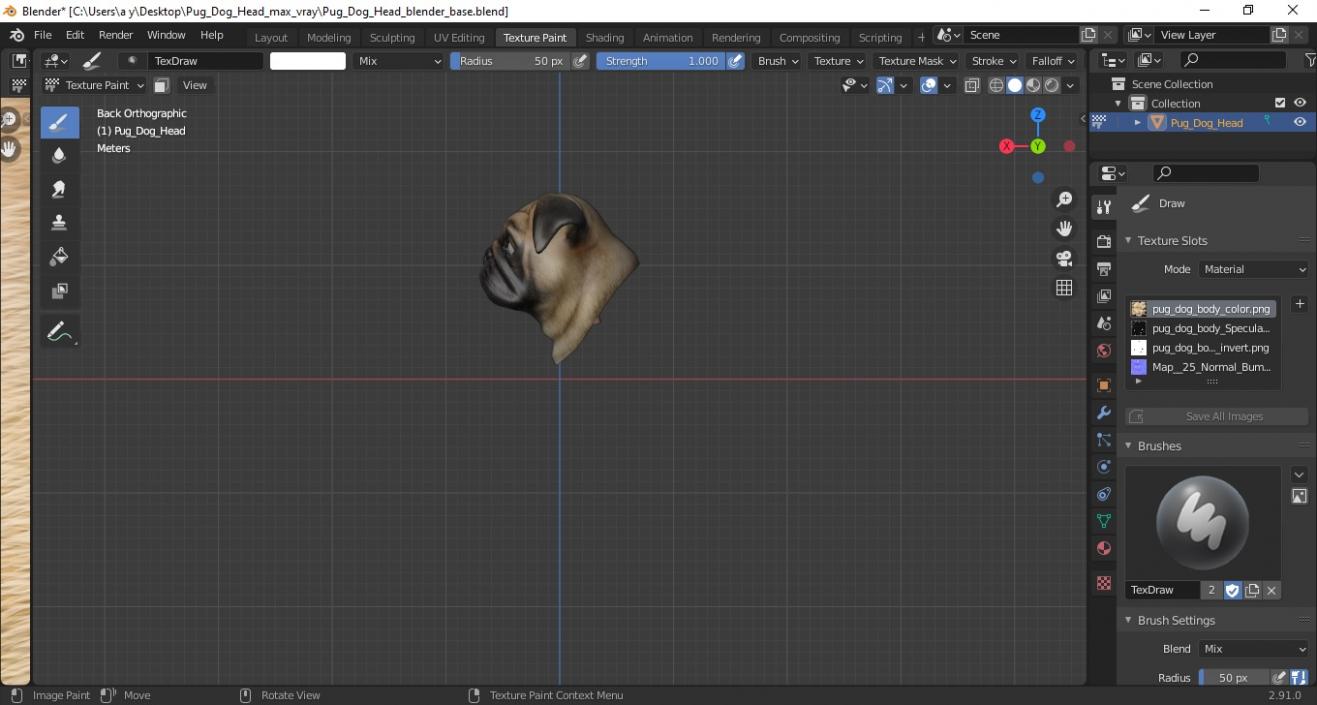 Pug Dog Head 3D