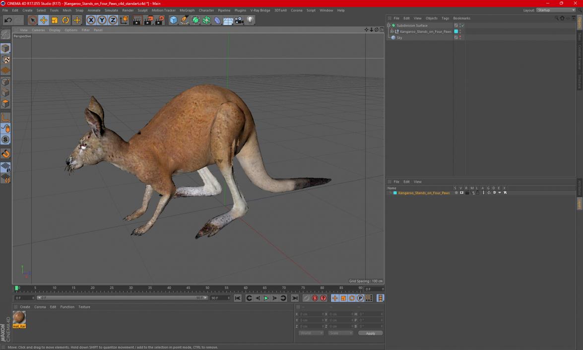 3D Kangaroo Stands on Four Paws model