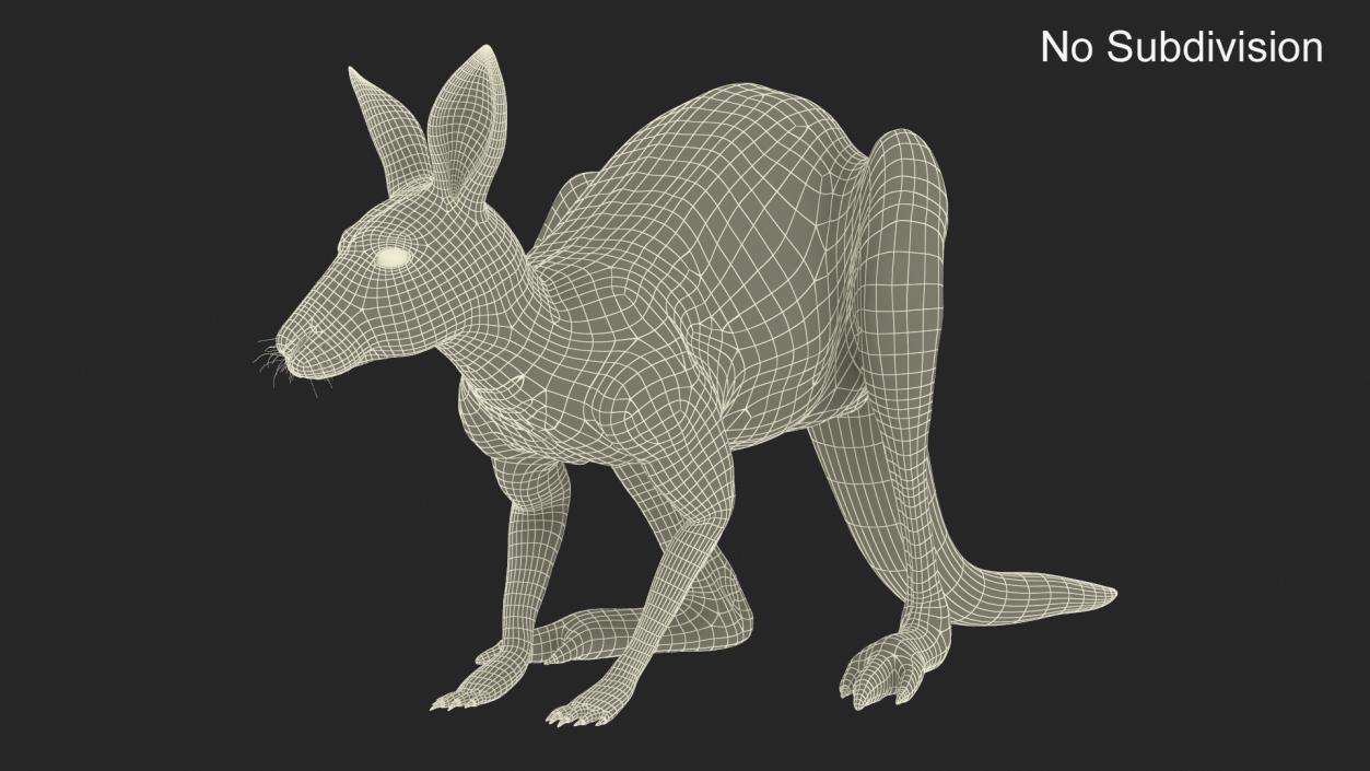 3D Kangaroo Stands on Four Paws model