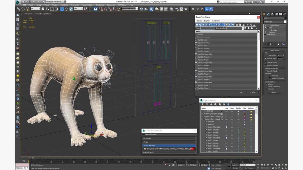 3D Lemur Slow Loris Rigged model