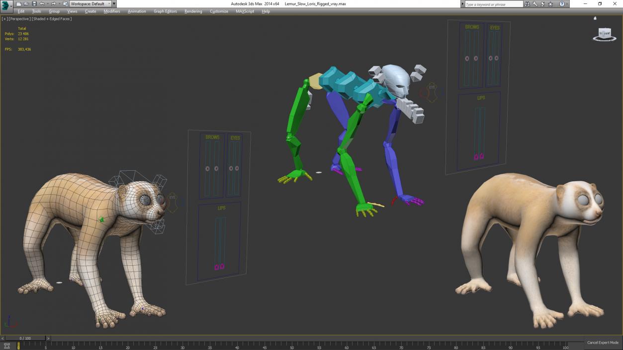 3D Lemur Slow Loris Rigged model