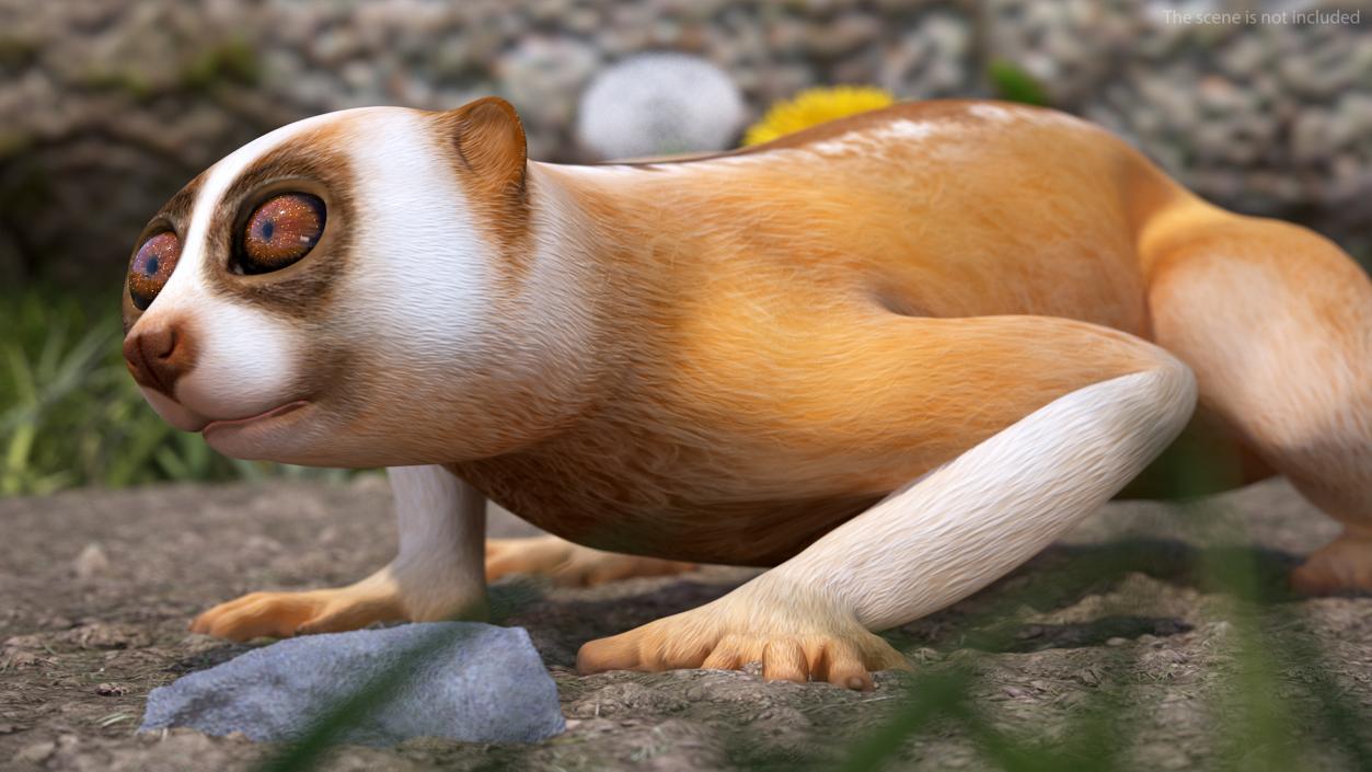 3D Lemur Slow Loris Rigged model