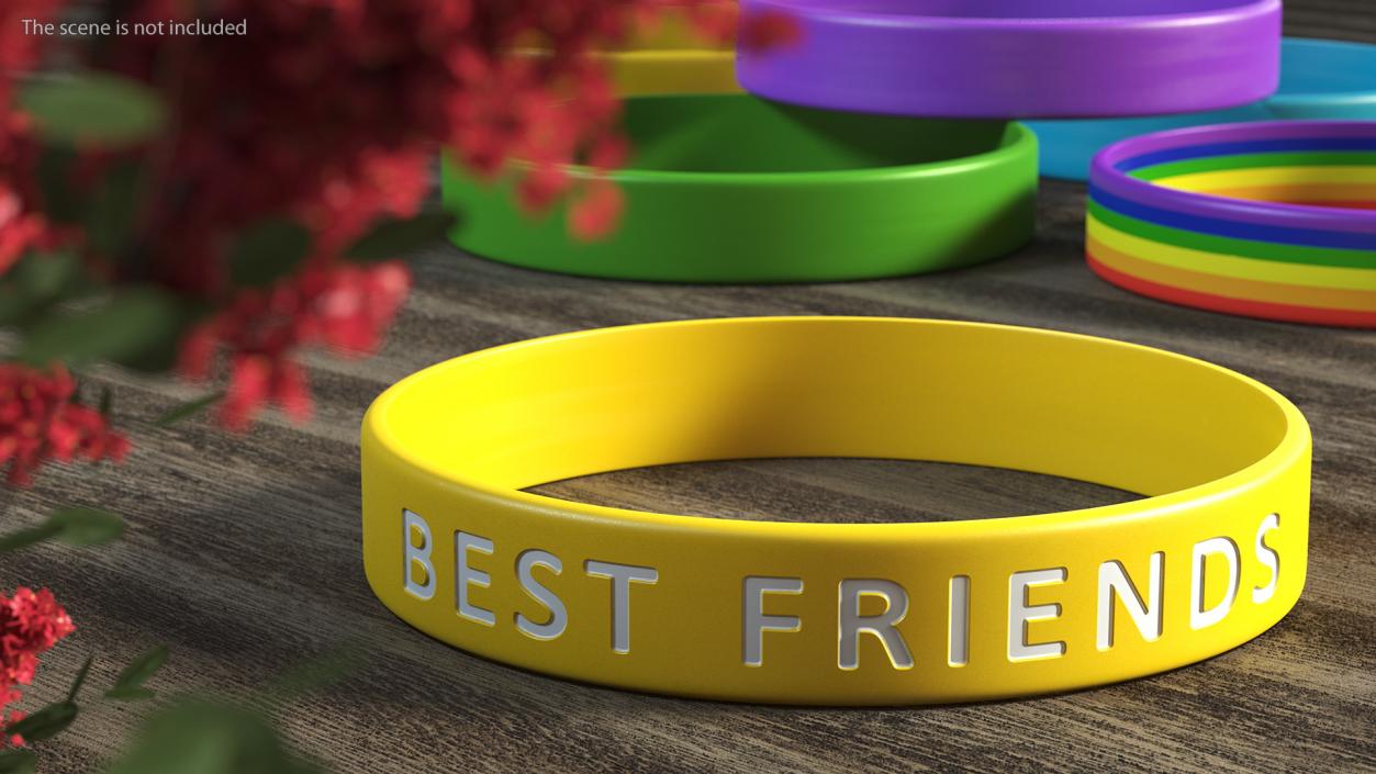 Friendship Rubber Band 3D