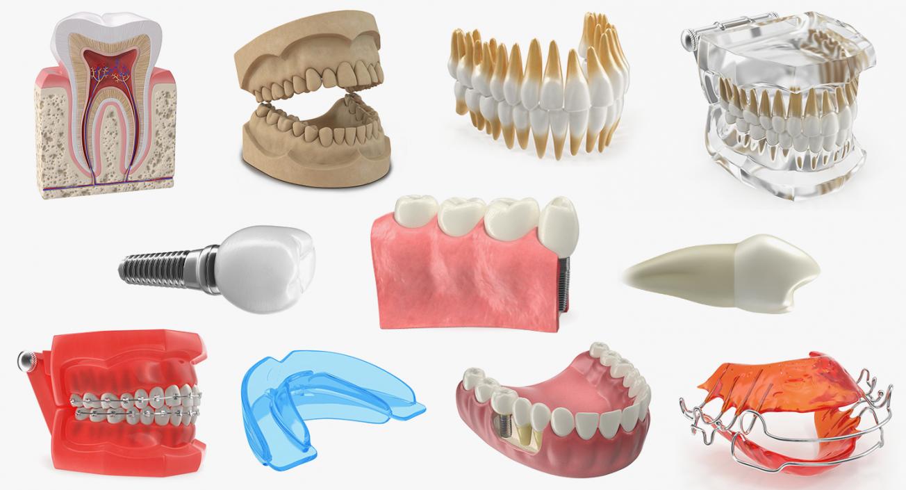 Dental Collection 4 3D model