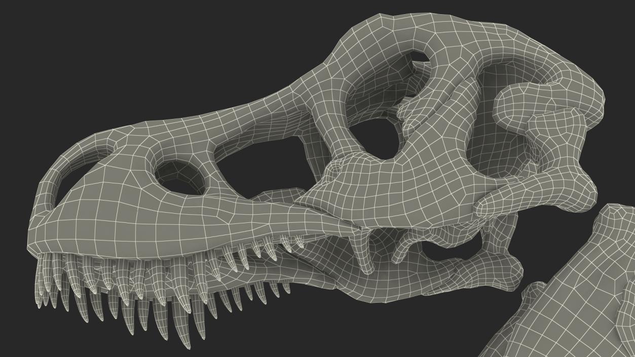 3D model Tyrannosaurus Rex Skeleton Fossil Rigged