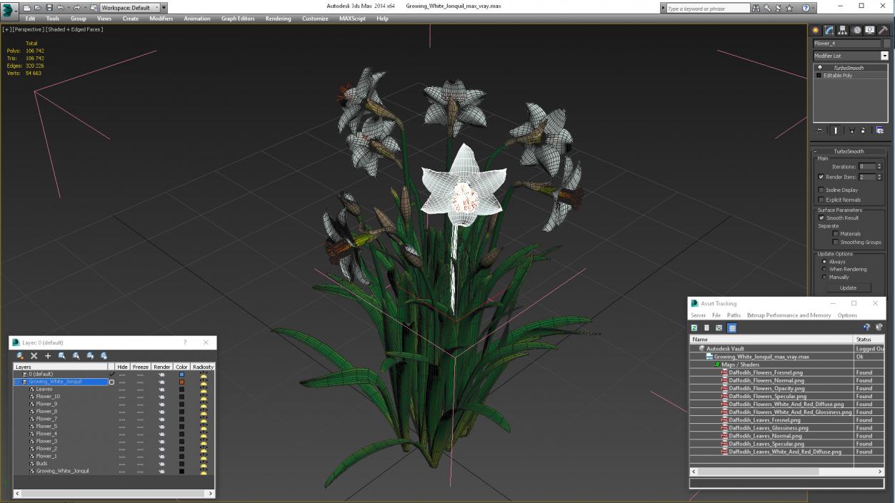 3D Growing White Jonquil