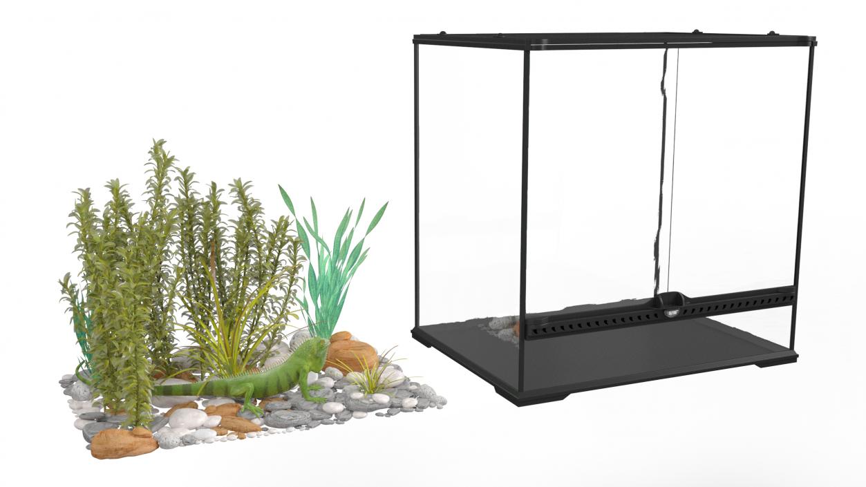 Big Terrarium with Plants and Green Lizard 3D