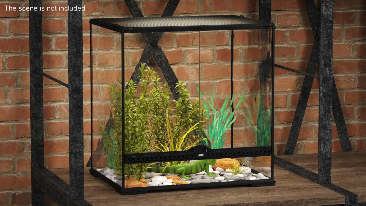 Big Terrarium with Plants and Green Lizard 3D