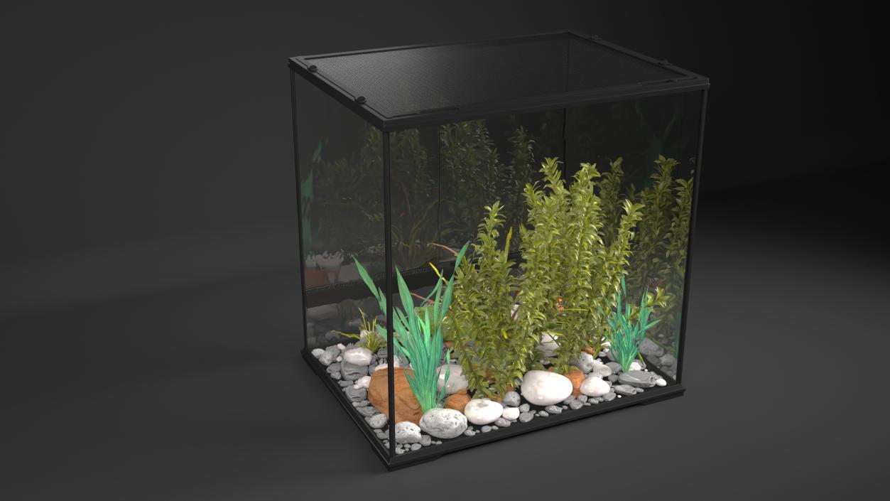 Big Terrarium with Plants and Green Lizard 3D