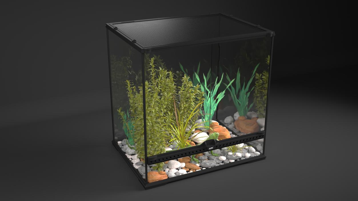 Big Terrarium with Plants and Green Lizard 3D