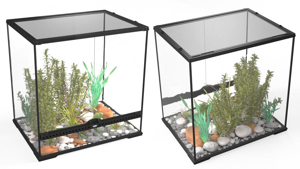 Big Terrarium with Plants and Green Lizard 3D