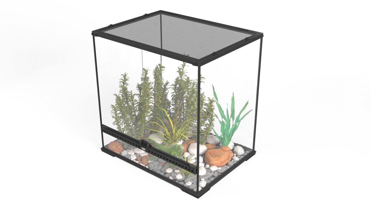 Big Terrarium with Plants and Green Lizard 3D