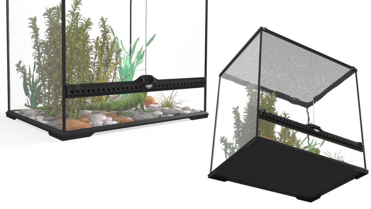 Big Terrarium with Plants and Green Lizard 3D