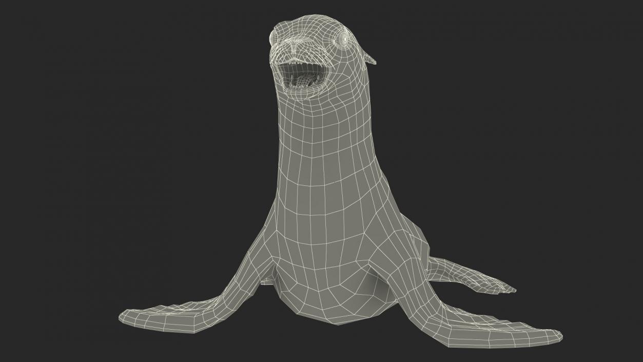 3D California Sea Lion Rigged