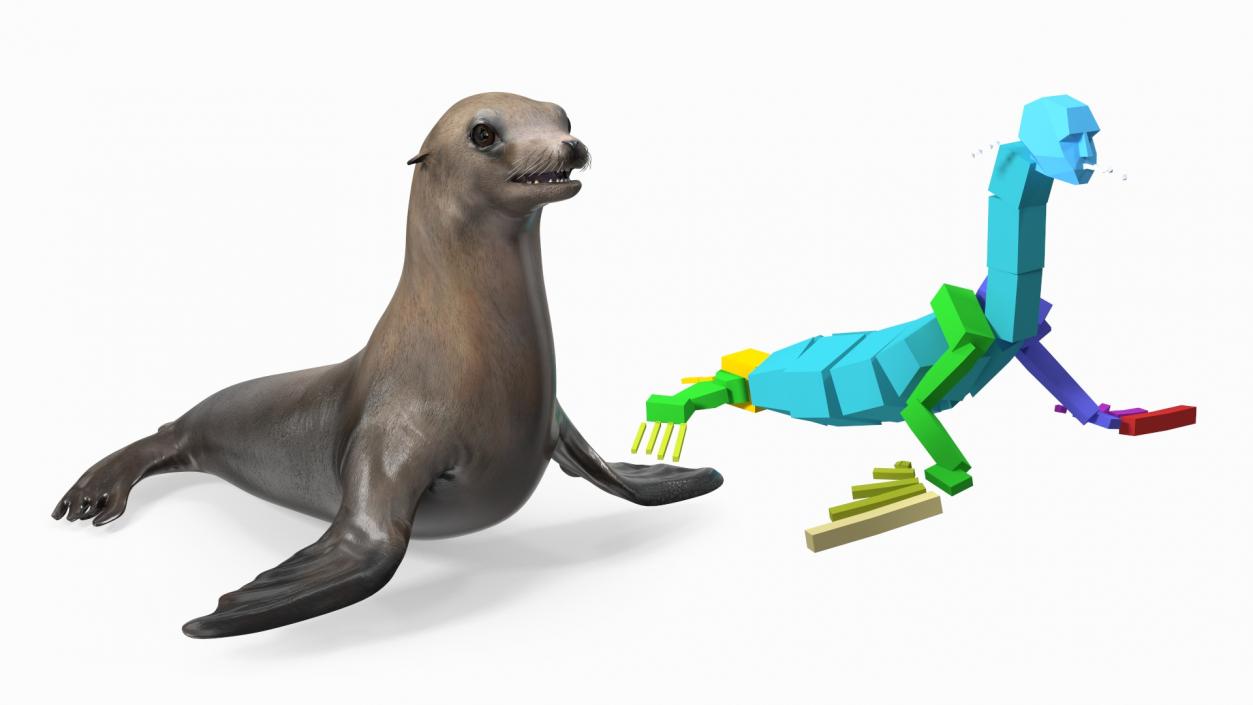 3D California Sea Lion Rigged