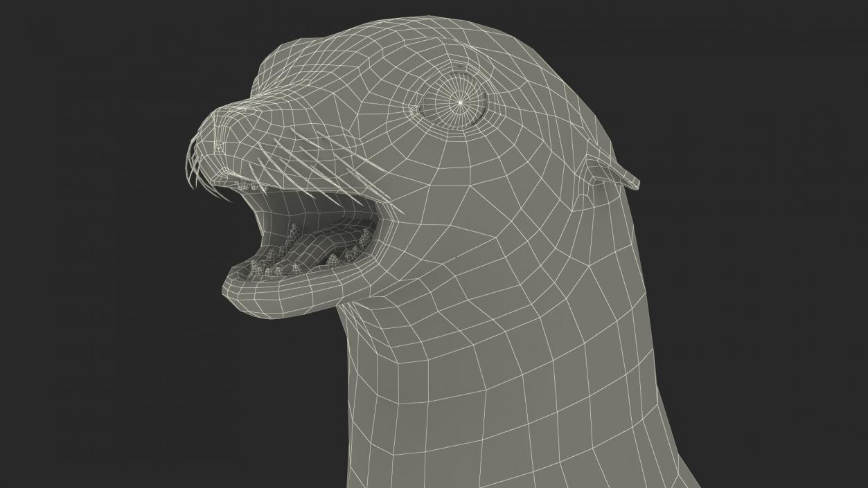 3D California Sea Lion Rigged