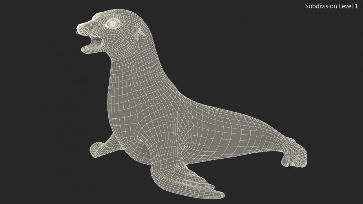 3D California Sea Lion Rigged