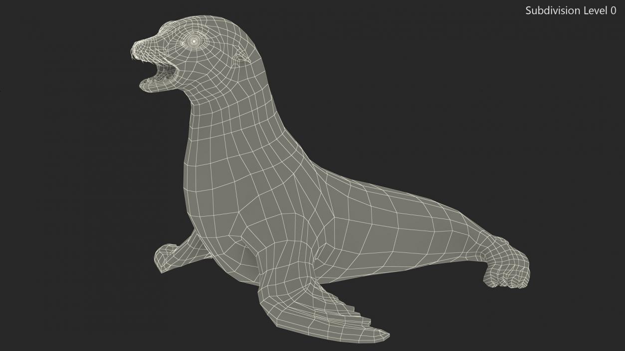 3D California Sea Lion Rigged