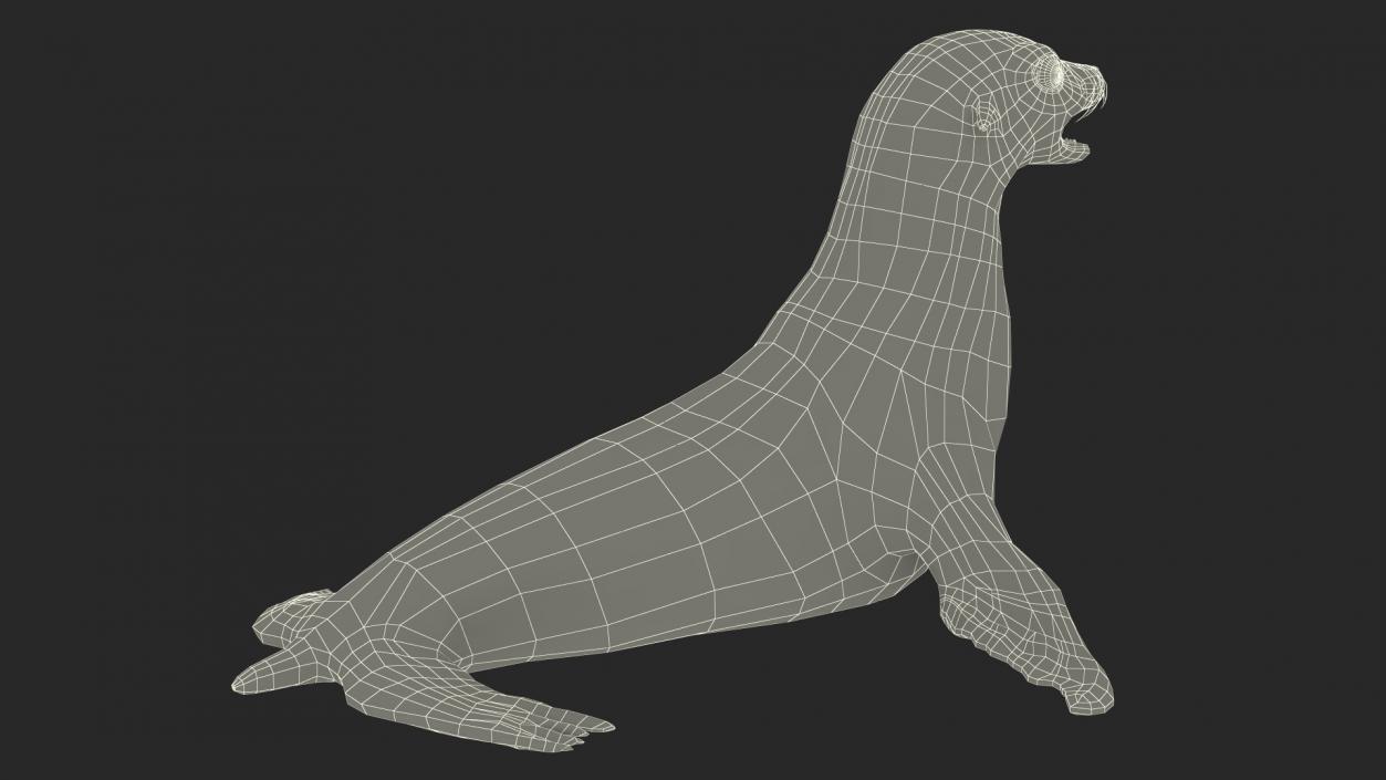 3D California Sea Lion Rigged