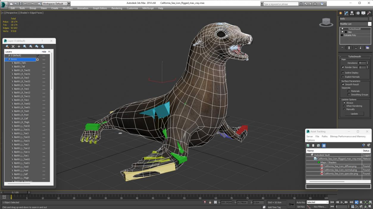 3D California Sea Lion Rigged