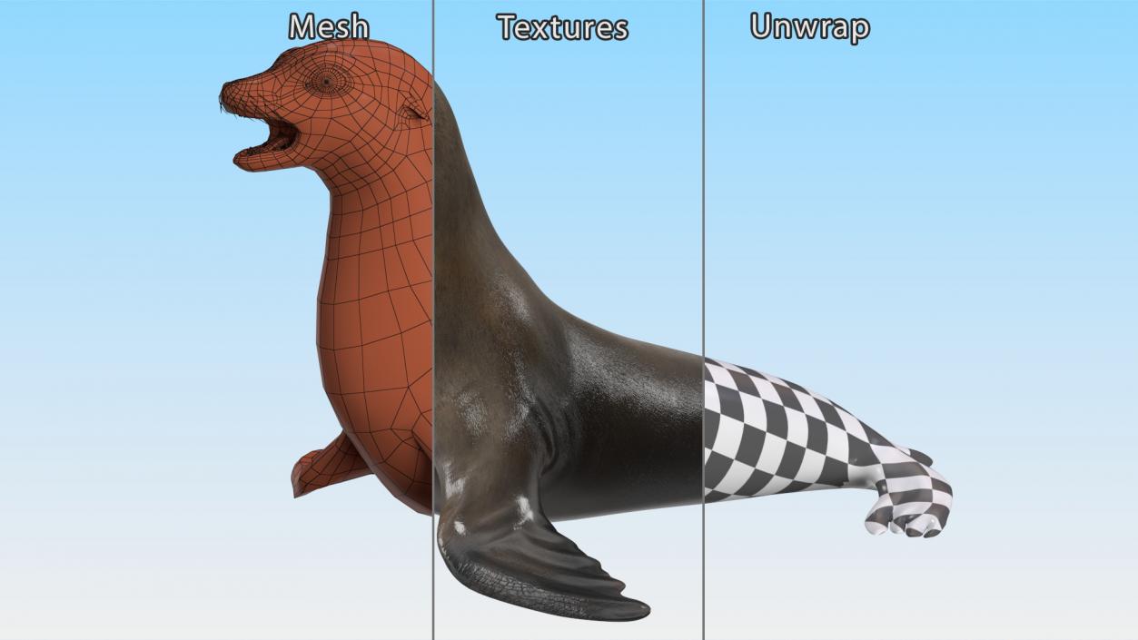 3D California Sea Lion Rigged