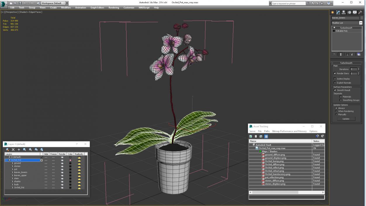 3D model Orchid Pot