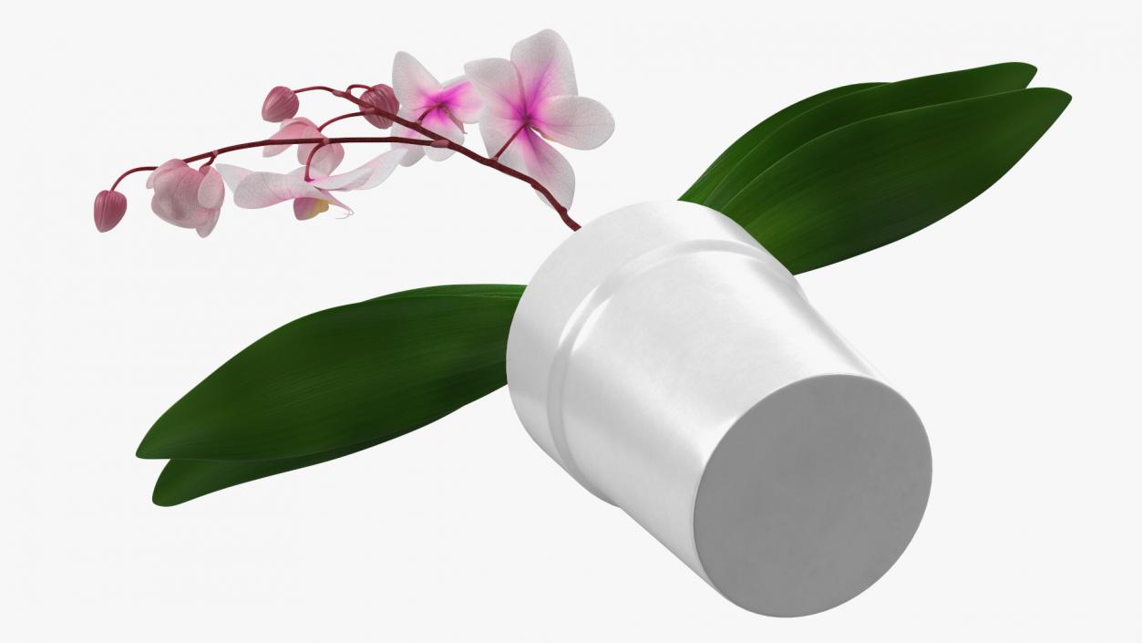 3D model Orchid Pot