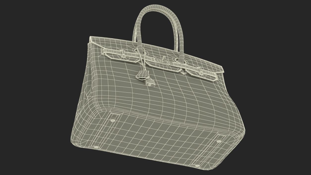 3D Woman Fashionable Bag