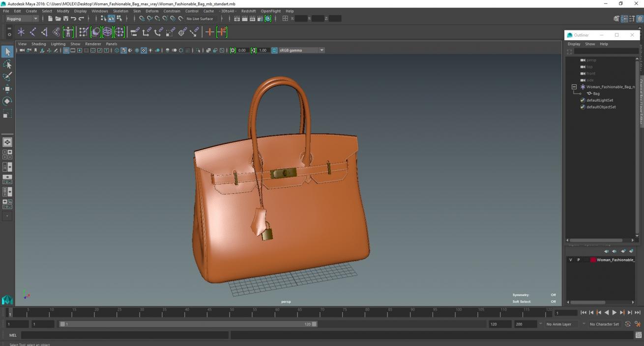 3D Woman Fashionable Bag