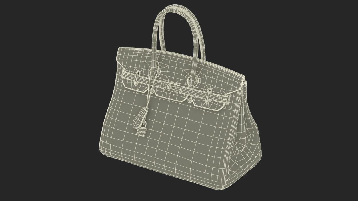 3D Woman Fashionable Bag