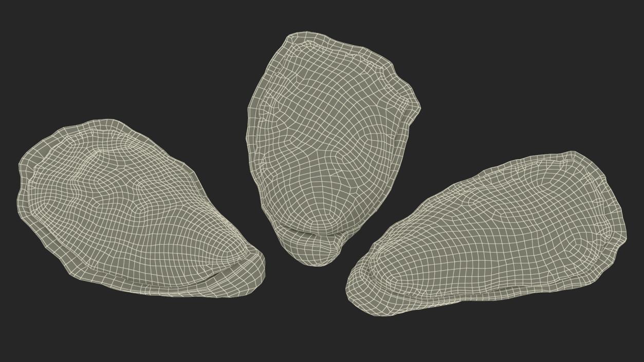 3D model Three Closed Oysters