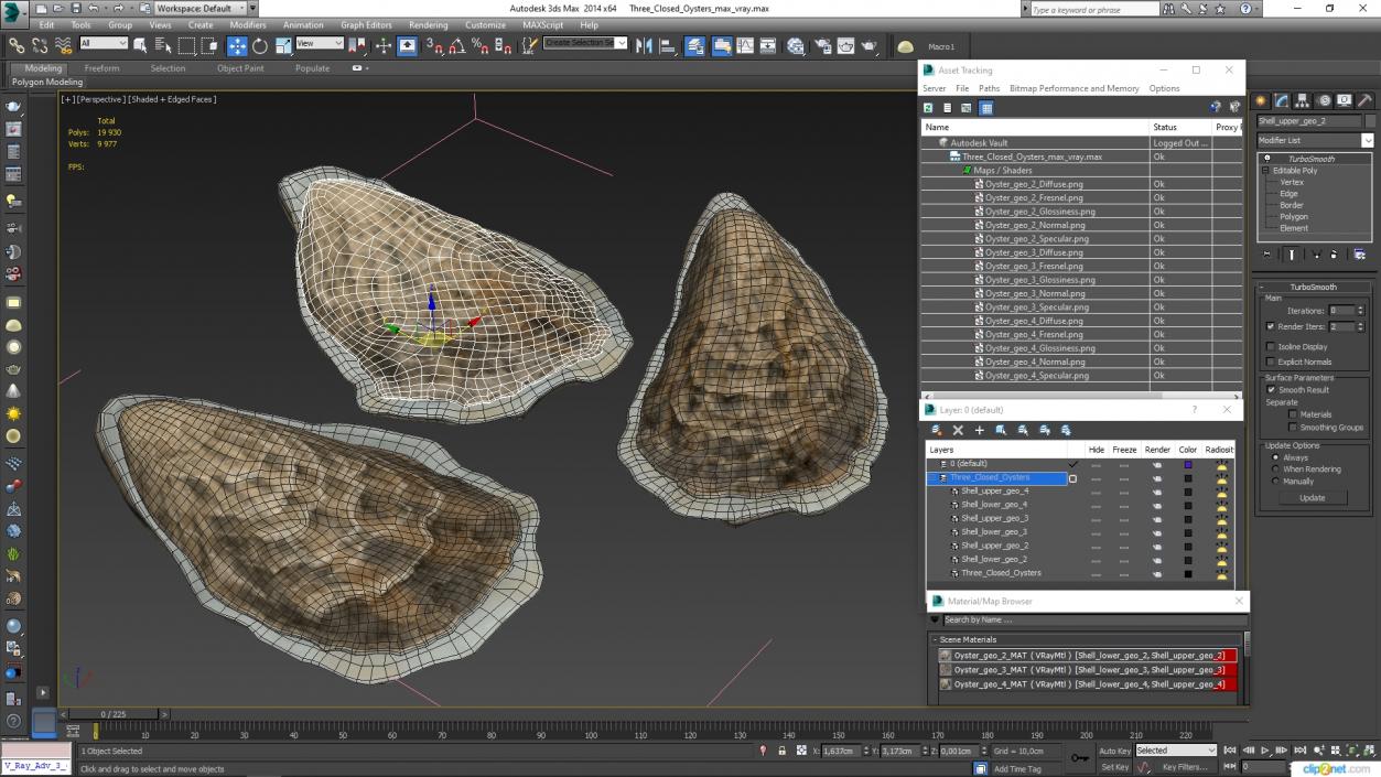 3D model Three Closed Oysters