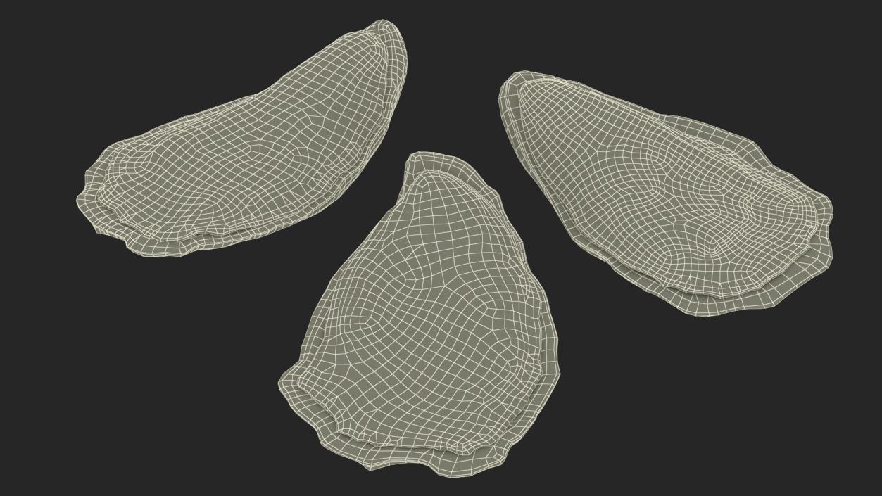 3D model Three Closed Oysters