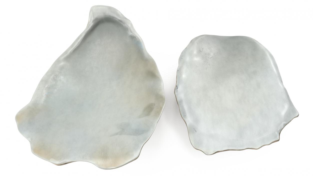 3D model Three Closed Oysters