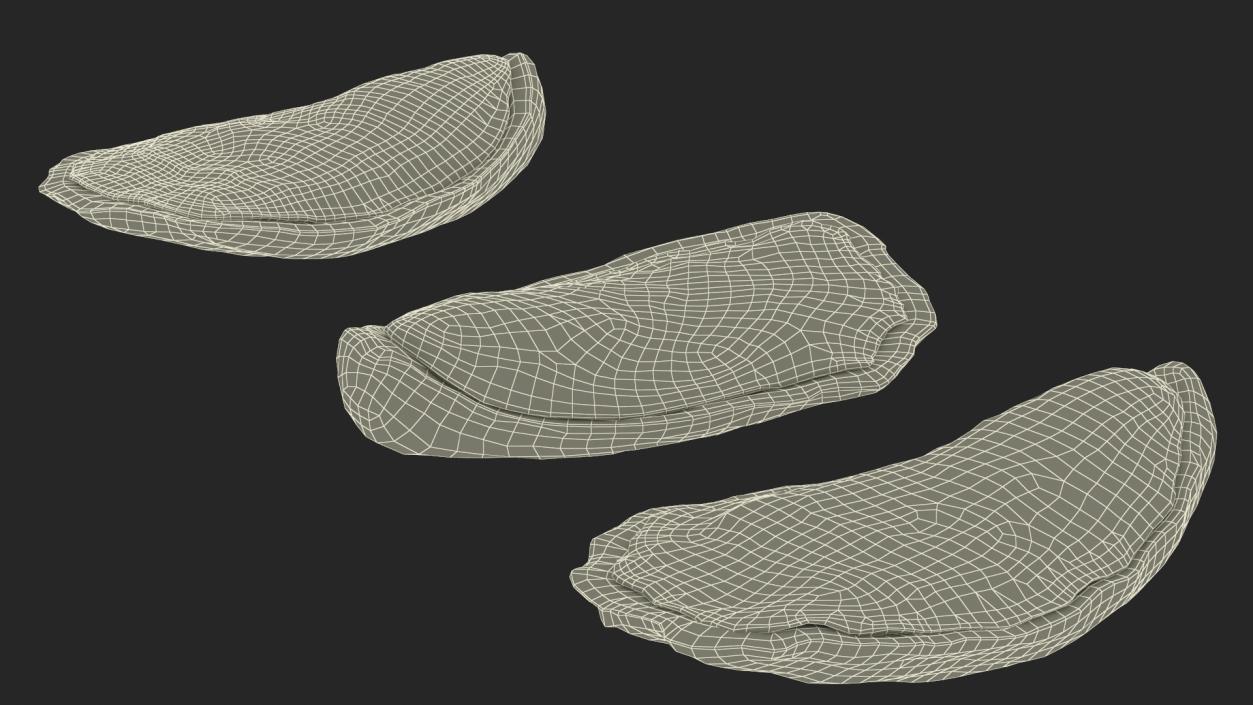 3D model Three Closed Oysters