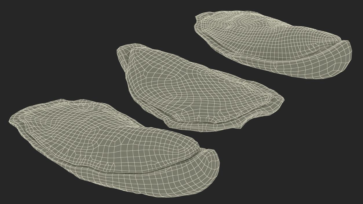 3D model Three Closed Oysters