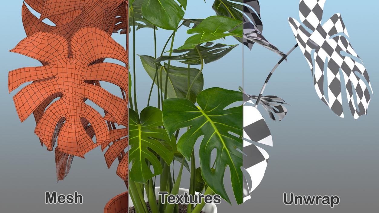 Houseplants Collection 4 3D model