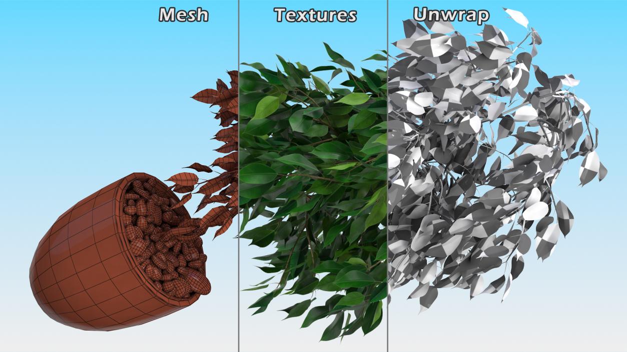 Houseplants Collection 4 3D model