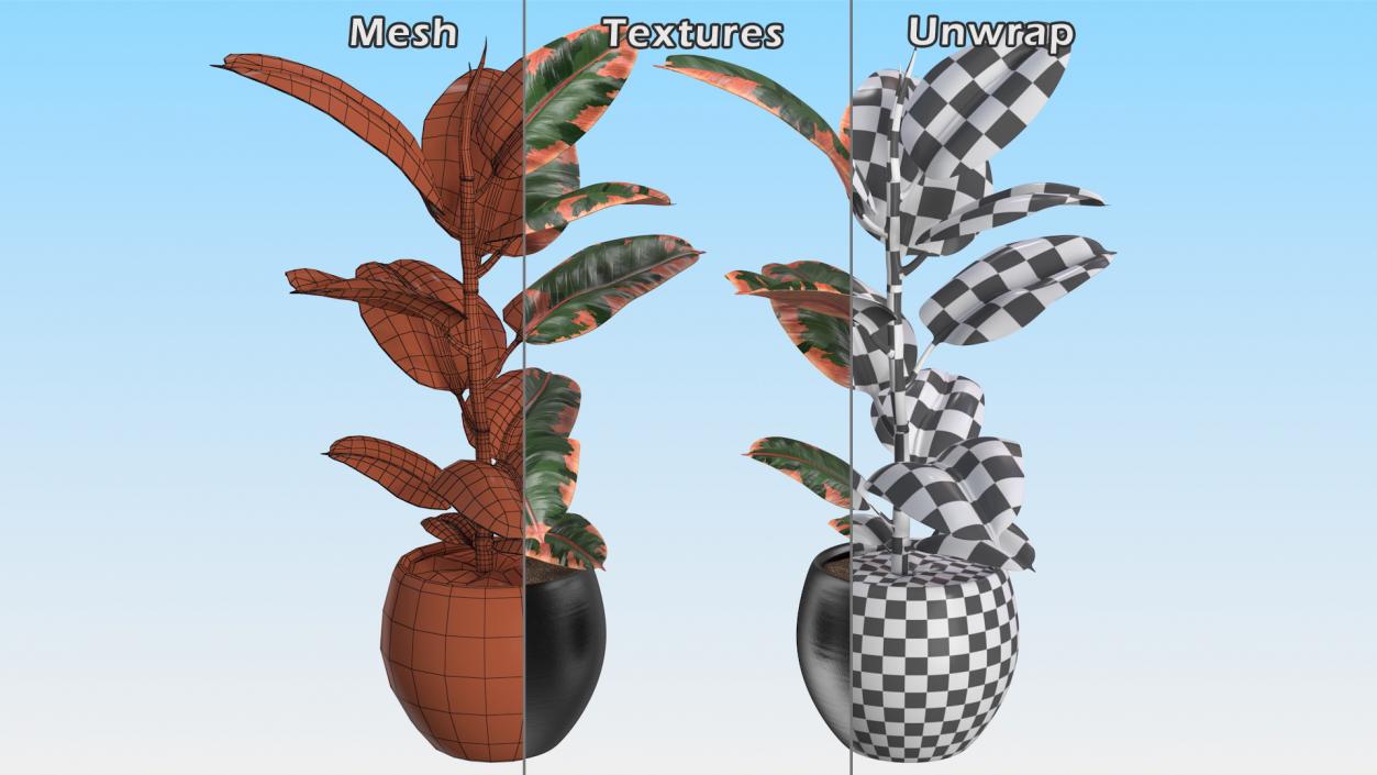 Houseplants Collection 4 3D model