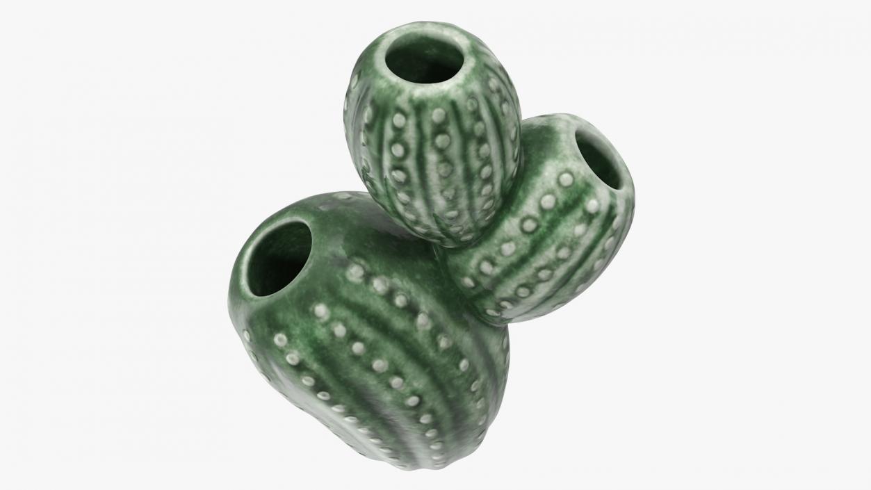 3D Cactus Vases Set